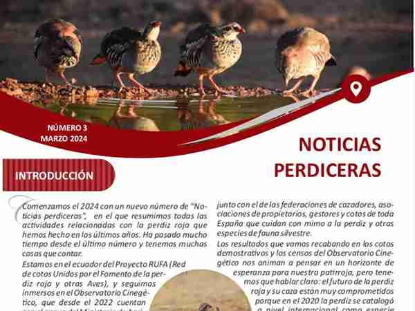 boletín Fundación Artemisan