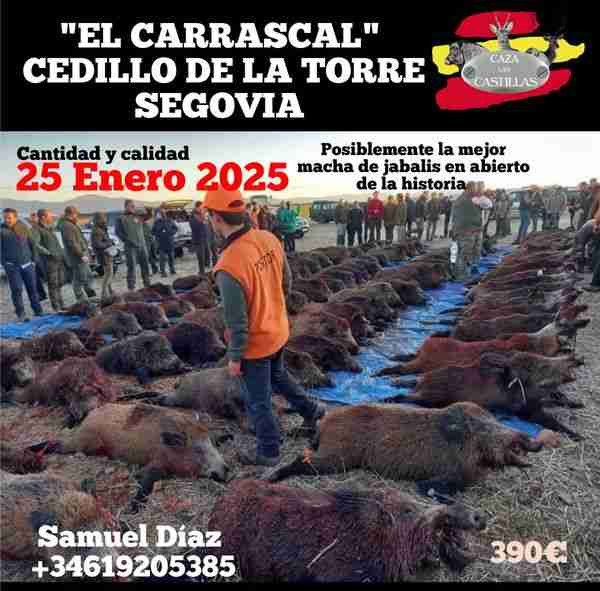 Caza las Castillas