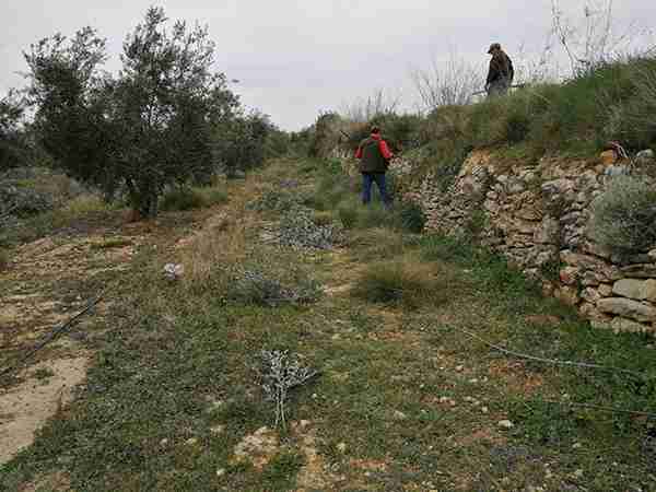 cazadores conejo Comunidad Valenciana
