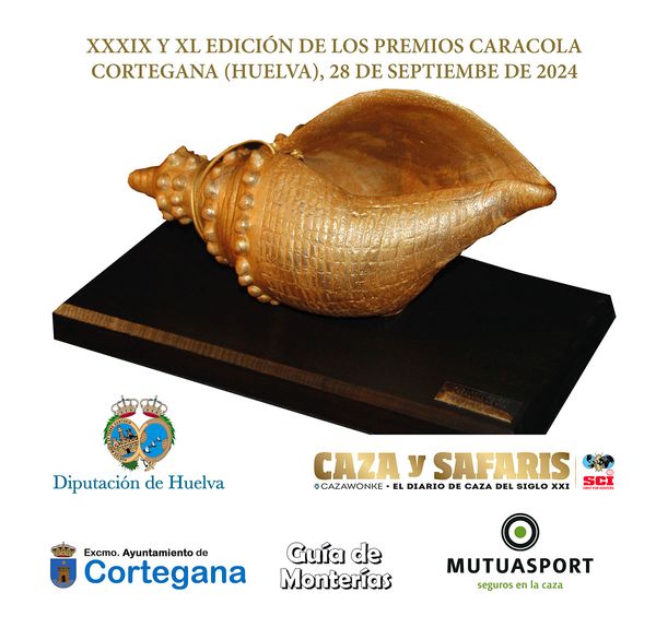 Premios Caracola