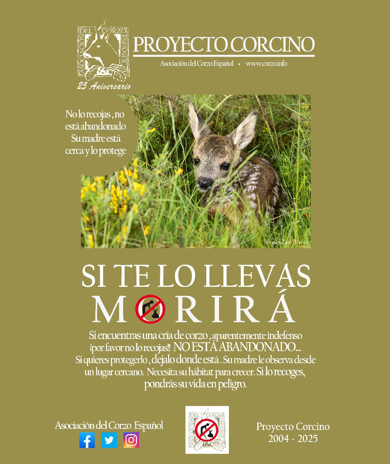 Asociación Española del Corzo Proyecto Corcino