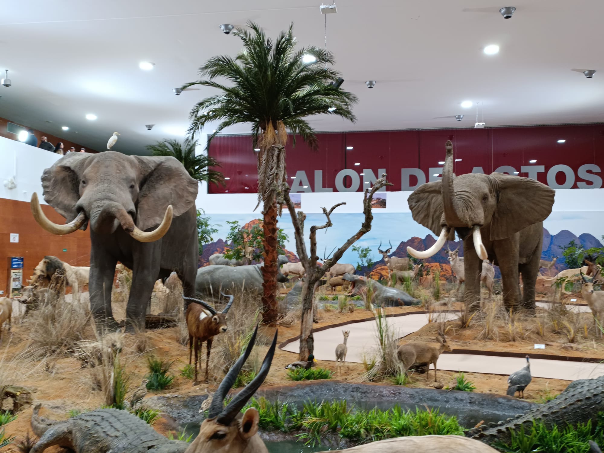 Museo de la Fauna Salvaje - FIAGA
