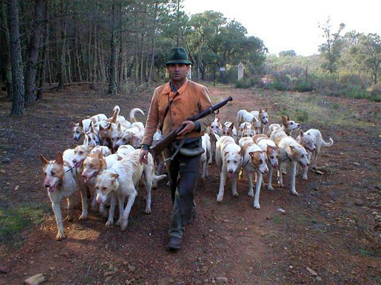 Rehala AER - Guía adiestramiento perros de rehala